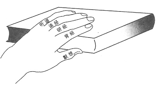 学习圣经5个环节